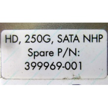 HP 250G 7.2k 432337-001/ 399699-001 / 397377-004 SATA HDD (Электросталь)
