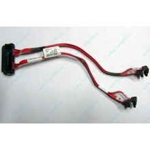 SATA-кабель для корзины HDD HP 451782-001 459190-001 для HP ML310 G5 (Электросталь)