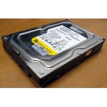 Жесткий диск 160Gb WD WD1602ABKS SATA (Электросталь)