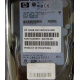 Жёсткий диск 146.8Gb HP 365695-008 404708-001 BD14689BB9 256716-B22 MAW3147NC 10000 rpm Ultra320 Wide SCSI купить в Электростали, цена (Электросталь).