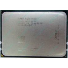 AMD Opteron 6128 OS6128WKT8EGO (Электросталь)