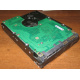 Жесткий диск 300Gb 15k Seagate Cheetach ST3300656SS 15K.6 Dell 9CH066-050 6G SAS (Электросталь)